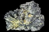 Metallic Stibnite Crystal Cluster - China #93683-2